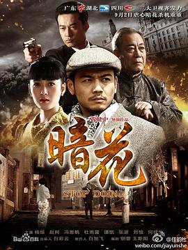 暗花2012全集