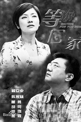 我在等你回家全集