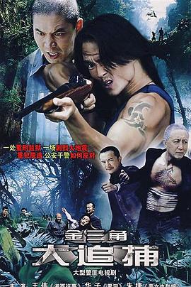 大追捕2008全集