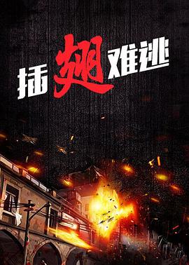 插翅难逃全集