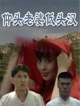 仰头老婆低头汉全集