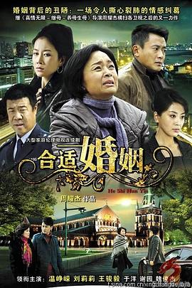 合适婚姻全集