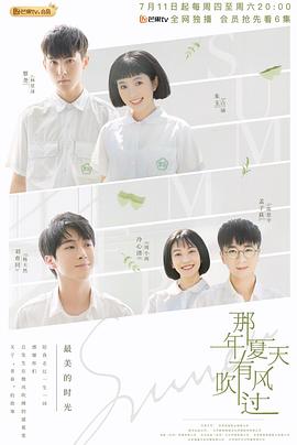 那年夏天有风吹过全集