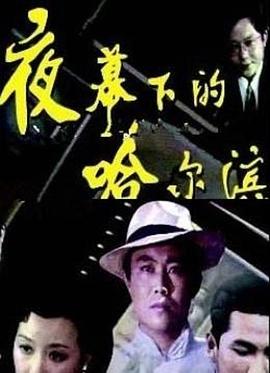 夜幕下的哈尔滨全集