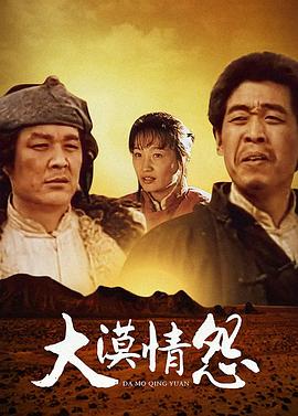 大漠情怨全集