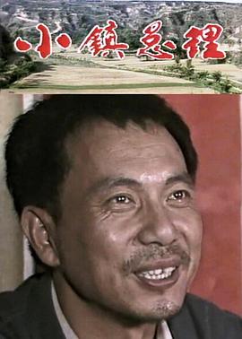 小镇总理全集