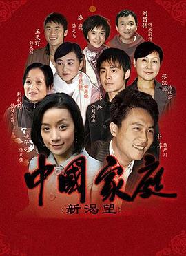 中国家庭之新渴望全集