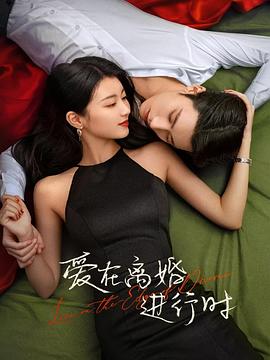 爱在离婚进行时2025全集