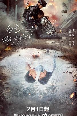 白色橄榄树全集