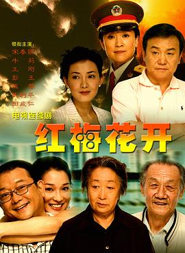 红梅花开2007全集